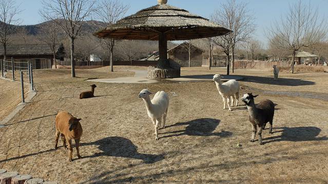 石家庄市动物园