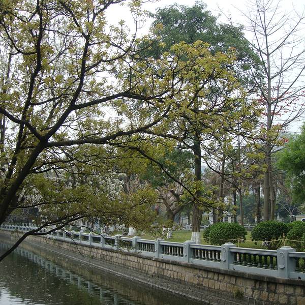 为什么叫中山公园 de8382644f423a.jpg_600x600x70_d84956eb.jpg