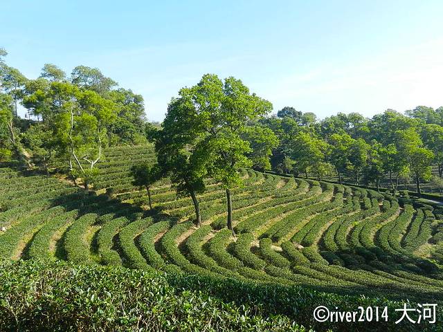 东部华侨城茶溪谷