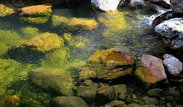 十万大山国家森林公园