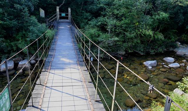 十万大山国家森林公园