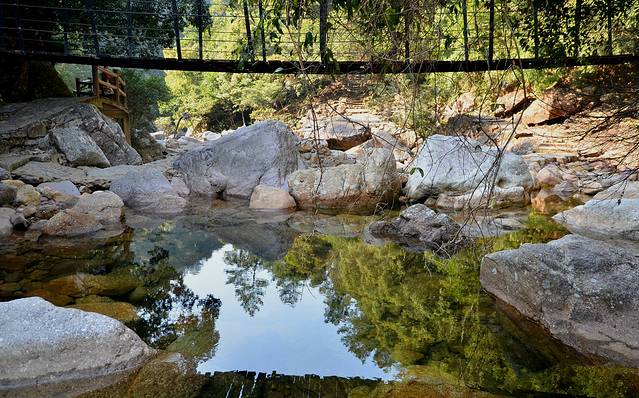十万大山国家森林公园