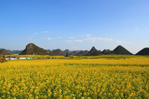 罗平旅游景点攻略图