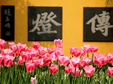 杭州旅游景点攻略图片