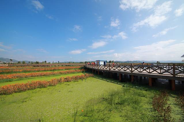 草海国家级自然保护区