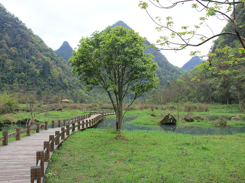 翠谷湿地旅游景点图片