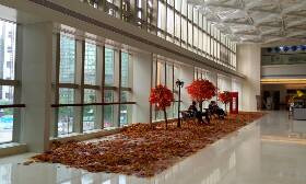 铂顿城(旗舰店)