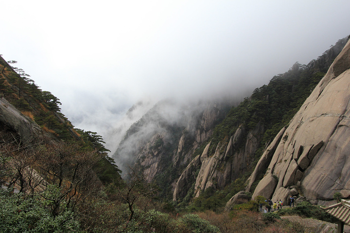 "建议爬山时带好雨衣与登山杖。黄山上风景很好，即便是雨天，耐心等候，也可能等的到太阳_黄山风景区"的评论图片