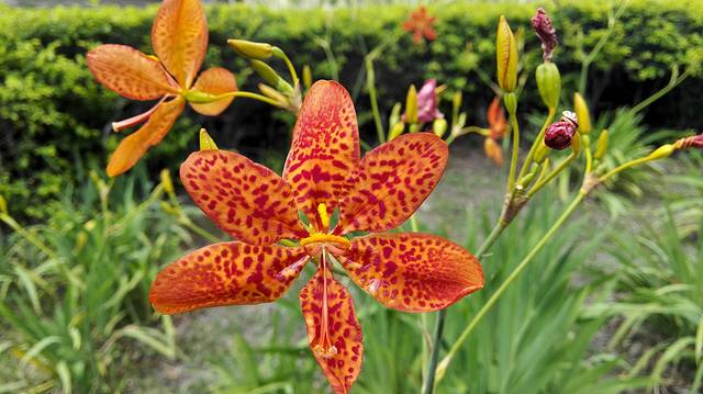 水往上流游憩区