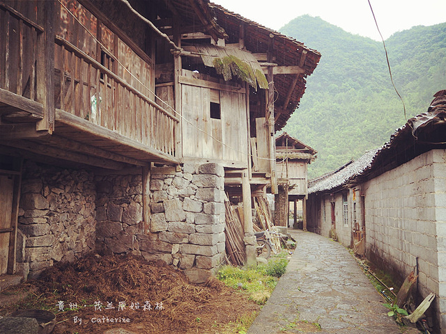 2024茂兰是一个半开发的景区，景色保留比较原始，里面很大，必须自驾或前往接待中心报名。游玩时间约一个半小时_茂兰喀斯特森林-评论-去哪儿攻略