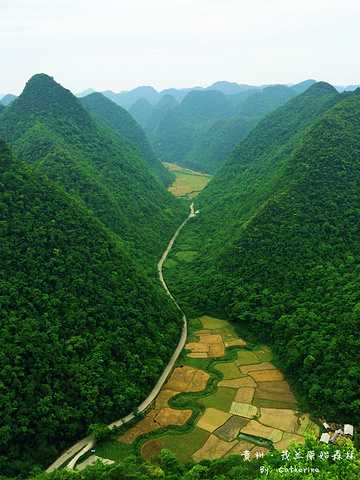2024茂兰是一个半开发的景区，景色保留比较原始，里面很大，必须自驾或前往接待中心报名。游玩时间约一个半小时_茂兰喀斯特森林-评论-去哪儿攻略