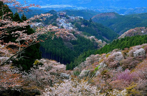 吉野山旅游景点攻略图