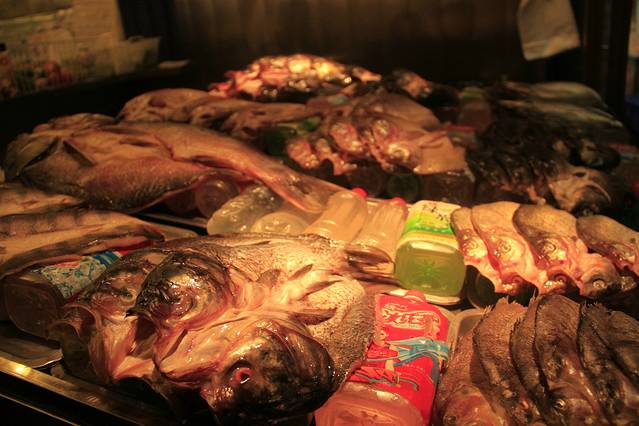 一路向西去新疆