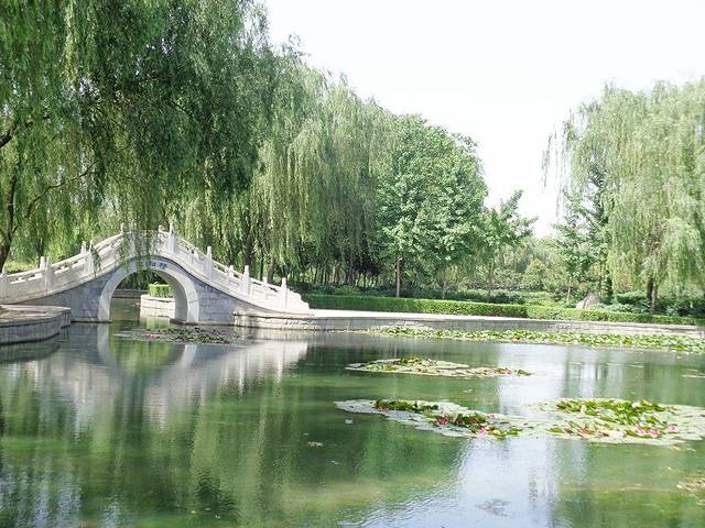 隋唐城遗址植物园