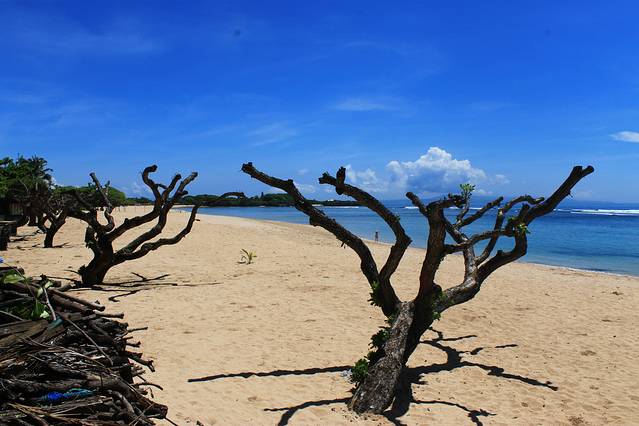 Bali Nusa Dua Theatre