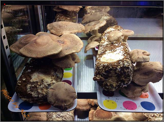 齐民市集（高岛屋店）