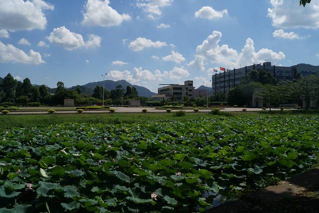 中山大学珠海校区