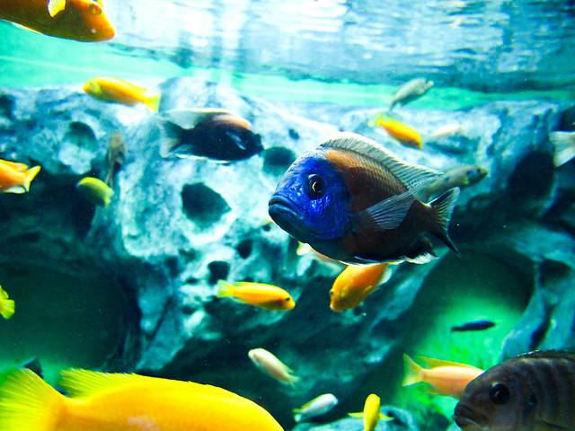 常州海昌海洋探索馆