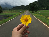 南平旅游景点攻略图片