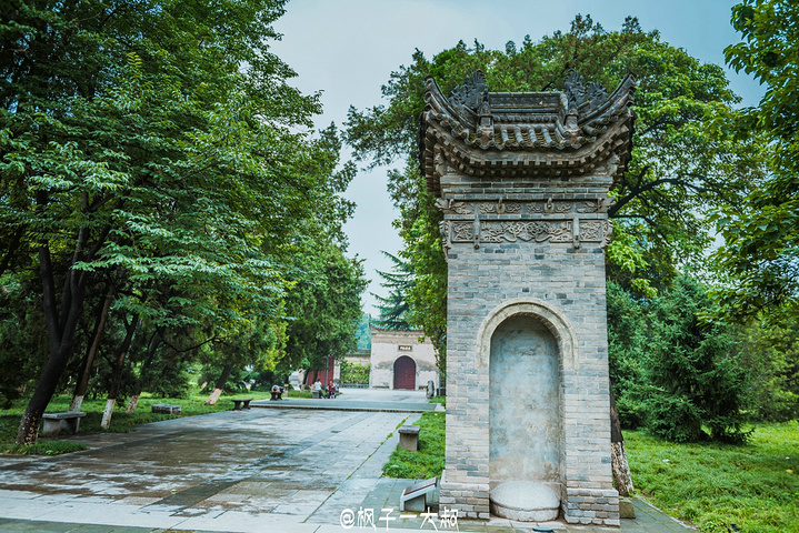 "由文物展馆区、小雁塔以及荐福寺为核心的历史名胜区、园林游览区三部分组成_西安博物院"的评论图片