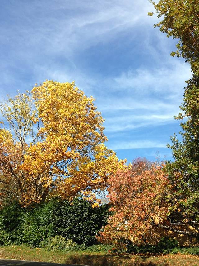 丹顿农山脉国家公园