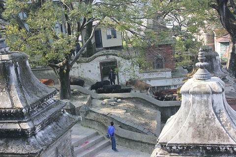 帕斯帕提神庙旅游景点攻略图