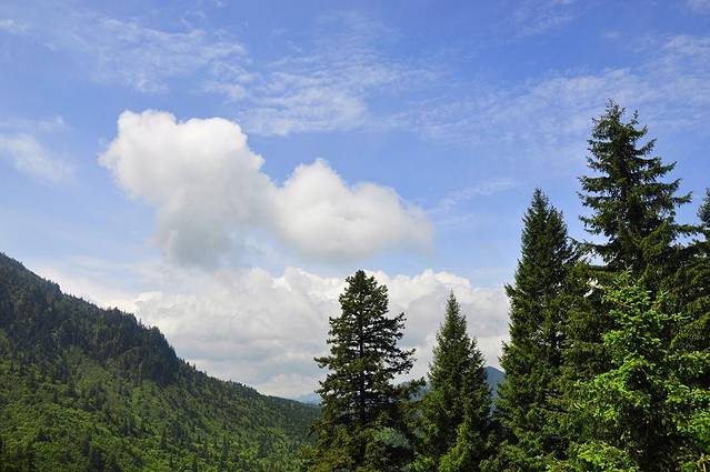甘肃莲花山国家森林公园