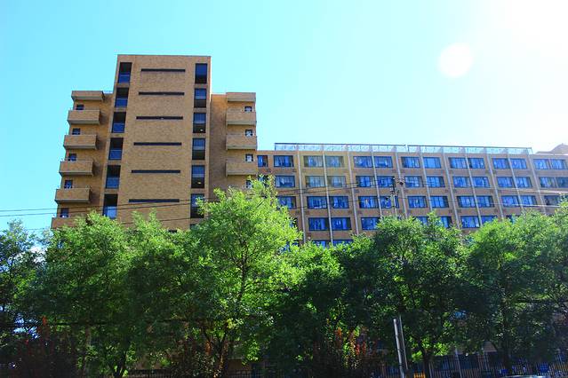 对外经济贸易大学