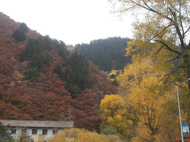 引大入秦水利灌溉农业旅游区