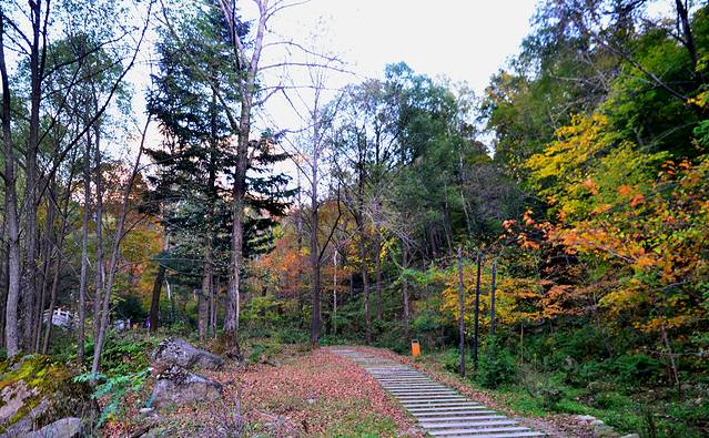 蛟河红叶谷