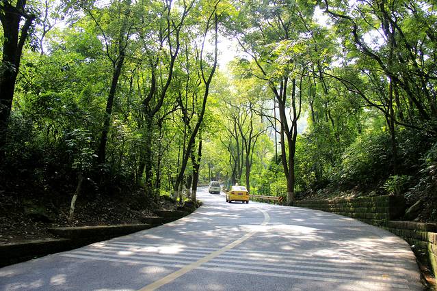 名胜古迹红色之旅 乘坐观光索道直达歌乐山山顶,参观蒋先生官邸林园