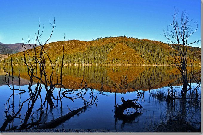 美美哒旅行风景