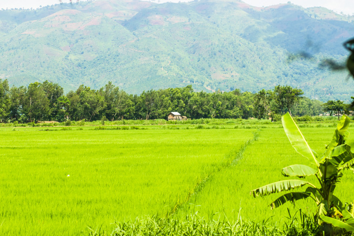 周围大片的农田包围着村庄