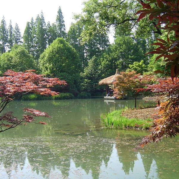 25af32197ab1cdf7.jpg_600x600x70_495f458b.jpg