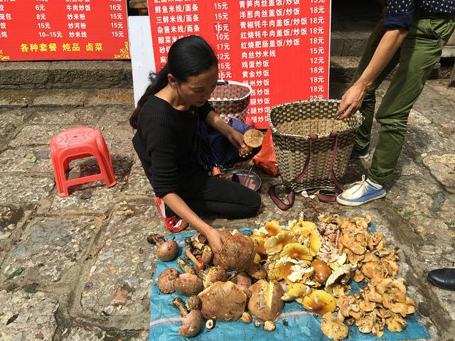 卖蘑菇滴.好诱人啊.