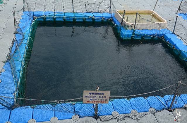 海上皇宫-海洋牧场