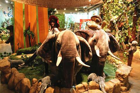 泰迪熊野生动物国旅游景点攻略图