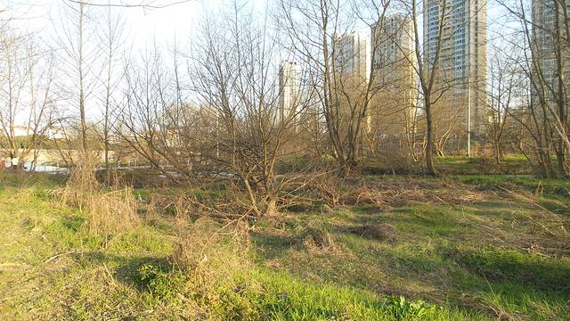 化成州湿地公园