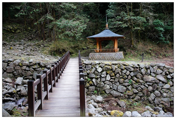 阿里山邹族特富野古道