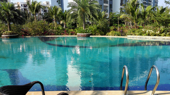 定安椰风水漾人家图片