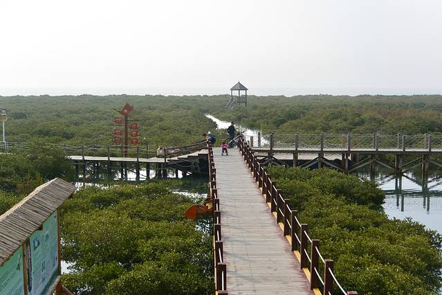 北海金海湾红树林生态旅游区