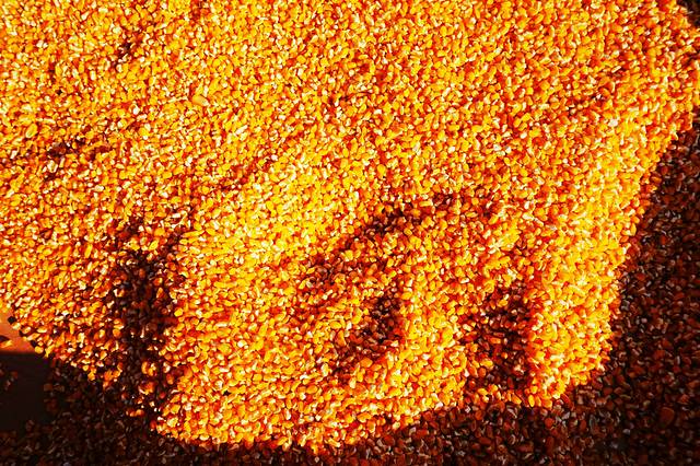 喜印外滩happy雪岛