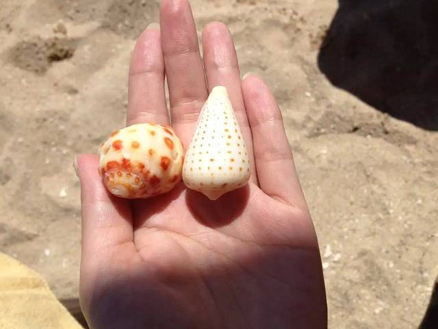 三亚亚龙湾希尔顿酒店·丰园御鸭