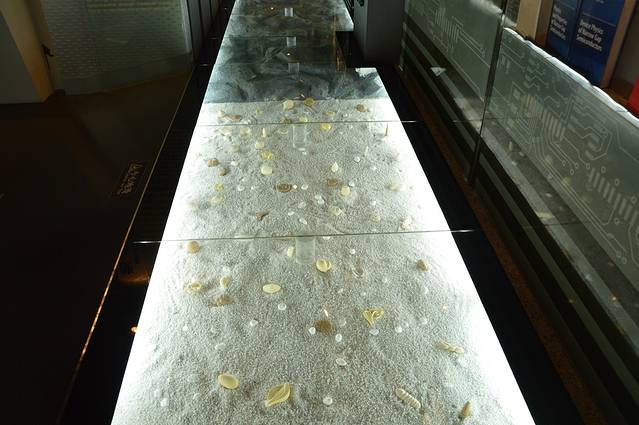 上海院士风采馆