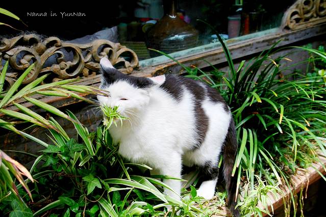 一个人,风花雪月
