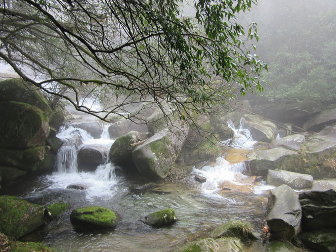 平江福寿山森林公园图片