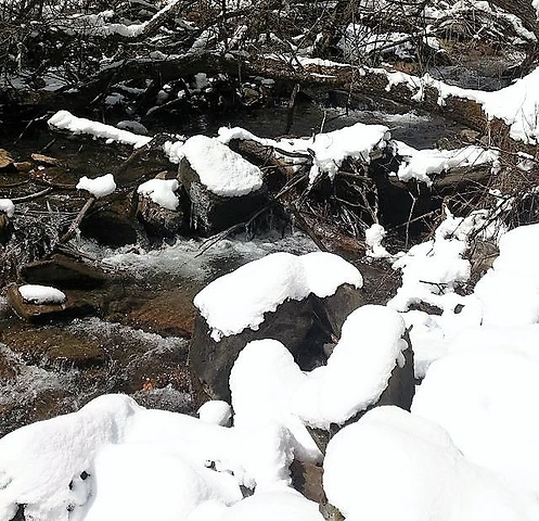 "经过昨天海拔较高的梦笔山，我觉得我爬玛嘉沟这座雪山完全不用担心高反了。木栈道上的羊群_玛嘉沟"的评论图片