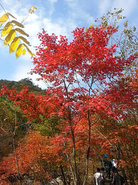 天桥沟国家森林公园旅游景点攻略图