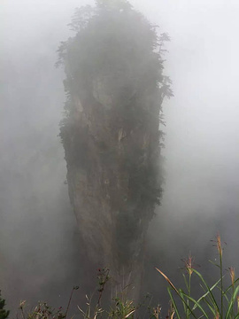 袁家界景区旅游景点攻略图