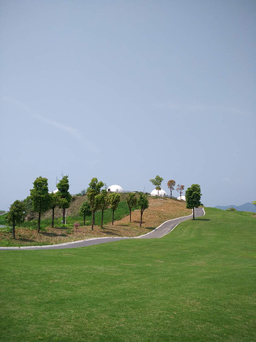 所以服务方面也没有跟上,人很少但景很美_进贤湾马术公园"的评论图片